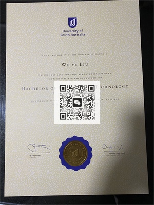 南澳大学毕业证成绩单