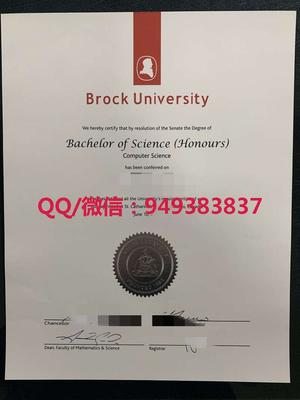 布鲁克大学毕业证成绩单